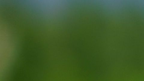Crear tus propios remedios caseros es un hábito lleno de beneficios, son aptos para toda la familia y limitarás el consumo de químicos ayudando al medio ambiente.