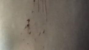 El perro quedó lleno de sangre tras atacar el menor.