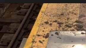 La pieza que cayó y el joven  Afnan Perviaz