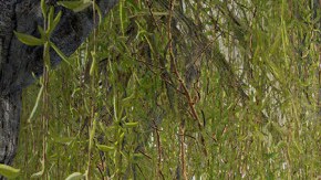 El banco de arena visualizado en el proyecto