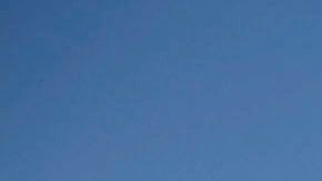 Con la llegada del verano, las playas de San Diego registran una mayor afluencia de residentes y turistas, pero también de rayas y con ellas los riesgos de sufrir una picadura, tal como advierten las autoridades locales.