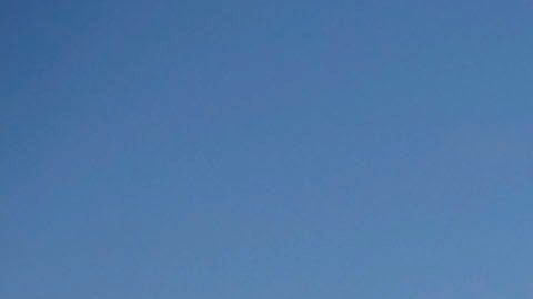 Con la llegada del verano, las playas de San Diego registran una mayor afluencia de residentes y turistas, pero también de rayas y con ellas los riesgos de sufrir una picadura, tal como advierten las autoridades locales.