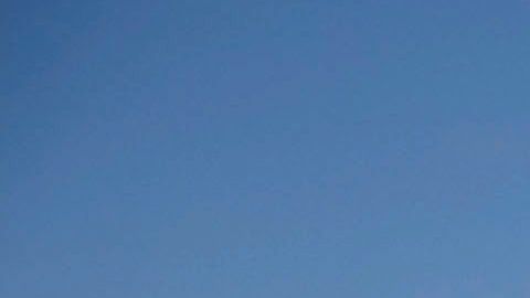 Con la llegada del verano, las playas de San Diego registran una mayor afluencia de residentes y turistas, pero también de rayas y con ellas los riesgos de sufrir una picadura, tal como advierten las autoridades locales.