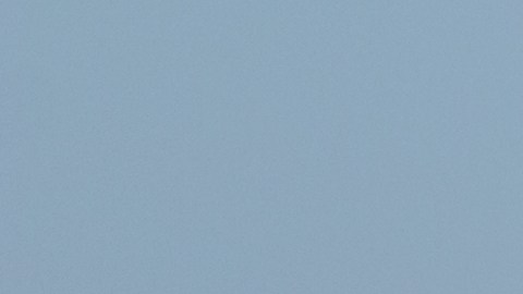 Solo el 38% de los americanos usará el tiempo de vacaciones pagadas al que tienen derecho por contrato./Shutterstock