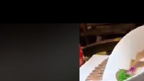 pollo