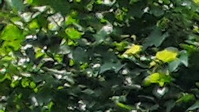 Solo hasta agosto de 2020 los usuarios tendrán acceso al nuevo sistema de elevadores.