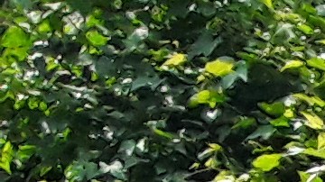 Solo hasta agosto de 2020 los usuarios tendrán acceso al nuevo sistema de elevadores.