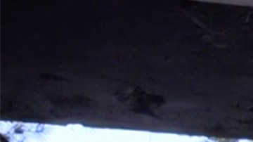 La puerta principal rota.