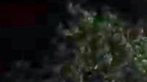 El comando armado llegó en dos camionetas.