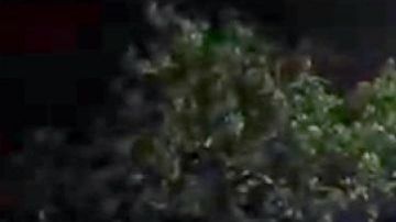 El comando armado llegó en dos camionetas.