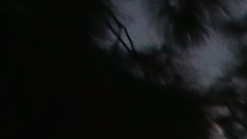 El plan de redadas de ICE está previsto que se realice el domingo en ciudades como Nueva York.