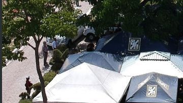 La actividad estuvo resguardada por miembros del Cuerpo de Agentes Metropolitanos y la Policía Nacional Civil (PNC).