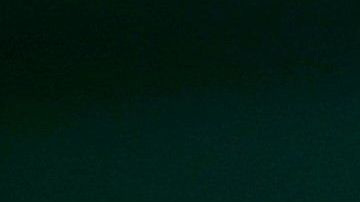 La estadounidense busca su octavo título en este torneo y un récord histórico