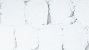 shutterstock_1012230862