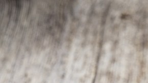 aceite semilla negra