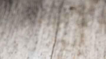 aceite semilla negra