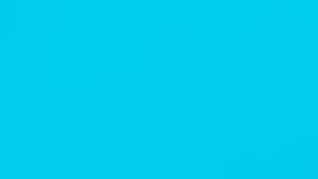 Y lo mejor es el precio de esta aplicación.