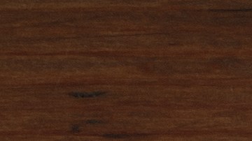 shutterstock_1198557076