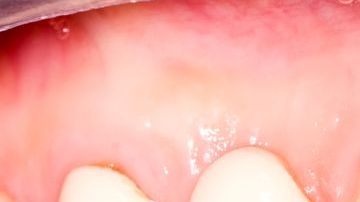 shutterstock_129331382