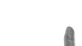 shutterstock_208883770