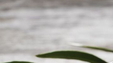 shutterstock_253044214