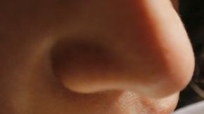 shutterstock_358214087