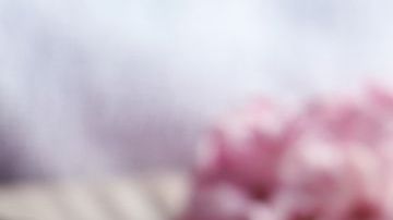 La aguja la encontró en uno de los cajones de su abuela.