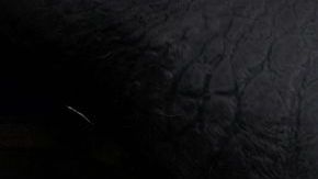 El hombre siempre se ha fascinado por encontrar vida extraterrestre.