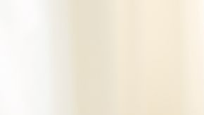 Para lograr una correcta captación del hierro en el torrente sanguíneo, es indispensable evitar el consumo de productos que perjudiquen su absorción como: alcohol, cerveza, café, chocolate y lácteos.