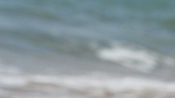 Ahora buscan al creador del mensaje.