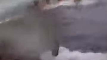 Las autoridades incautaron unas 18 toneladas de cocaína en el submarino.