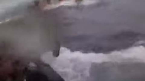 Las autoridades incautaron unas 18 toneladas de cocaína en el submarino.