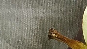 Integra en tus preparaciones alimentos a la parrilla y al vapor, preservan el sabor, textura y aroma original de los alimentos.