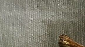 Integra en tus preparaciones alimentos a la parrilla y al vapor, preservan el sabor, textura y aroma original de los alimentos.