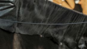 The red sea diving resort