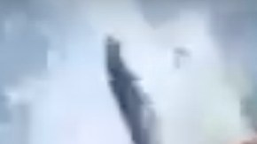 El momento en que salta el tiburón.