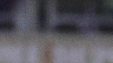 Los Tigres de la UANL arrancaron a paso de campeón el Apertura 2019.