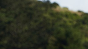 Tom Steyer es el más reciente aspirante a la candidatura demócrata por la Presidencia.