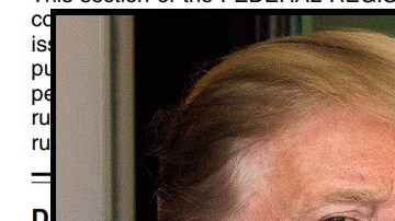 La regla impulsada por el Gobierno del presidente Trump afectaría a familias con estatus migratorio mixto.