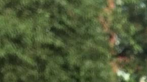 Manifestantes en Union Square.