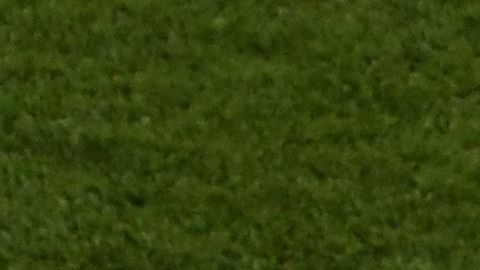 Megan Rapinoe anotó el primer gol de Estados Unidos en la Gran Final.