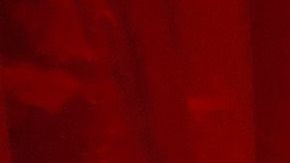 Las jugadoras de la Selección Femenina de Estados Unidos han festejado a lo grande su histórico triunfo en Francia 2019.