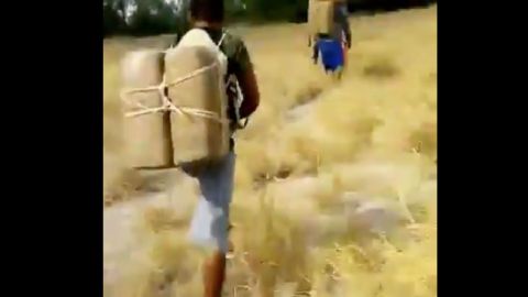 VIDEO: Así pasan por la frontera droga "las mulas" del Cártel del Golfo y Los Metros