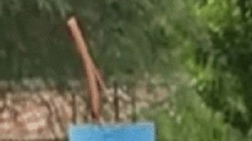 VIDEO: Los Rojos retan a "El Mencho", así robaron casa de sicario asesinado del CJNG