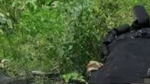 VIDEO Los Viagras cumplen su palabra ya comenzaron a matar a los del CJNG