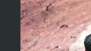 Analistas forenses y criminalistas trabajan en la exhumación de los cadáveres en la colonia Vista al Lago.