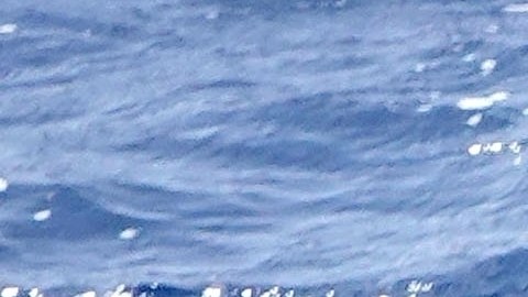 Photo © 2019 Backgrid UK/The Grosby Group
Spain: Lagencia Grosby
June 17, 2019
CAPRI, ITALY  - 

*PREMIUM EXCLUSIVE*  - The Mexican singer and actor Diego Boneta and the Chilean actress Mayte Rodriguez spend some time together on a romantic holiday on the island of Capri.
The loved up couple sizzled in the Italian sunshine with Diego going shirtless and Mayte showing off her skimpy red bikini on their boat.

Pictured: Diego Boneta, Mayte Rodríguez