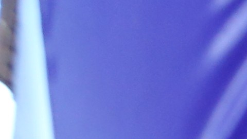 Para la dominicana Julia Ramírez, la realidad para muchas familias en la Gran Manzana es: comer o pagar la renta.