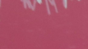 Victimas de abuso sexual infantil que además son legisladoras estatales incluyendo Catalina Cruz, Alessandra Biaggi, Yuh-Line Niou, Rodneyse Bichotte y gimnasta Bridie Farrell anuncian un día antes de que entre en vigor la ventana para poder presentar denuncias.