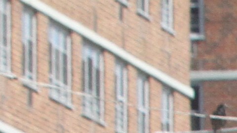 East Harlem, NYC/Archivo.